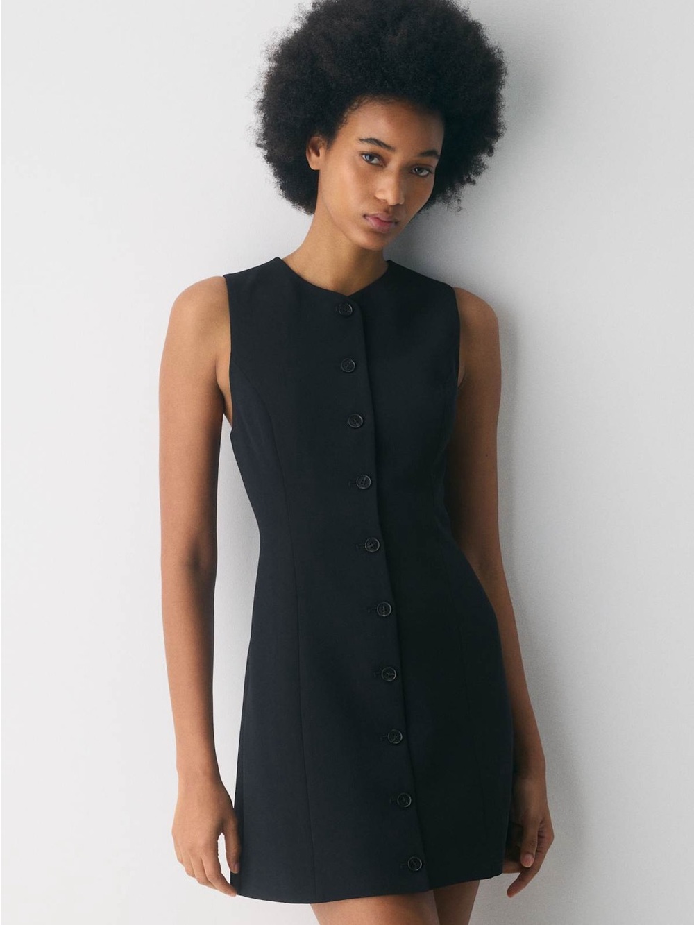 Aritzia Regal Dress - Crepette™